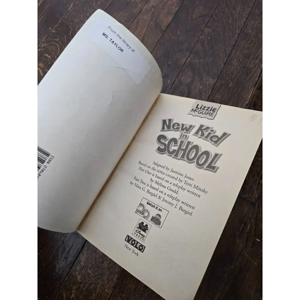 Vintage Lizzie McGuire New Kid in School Book
